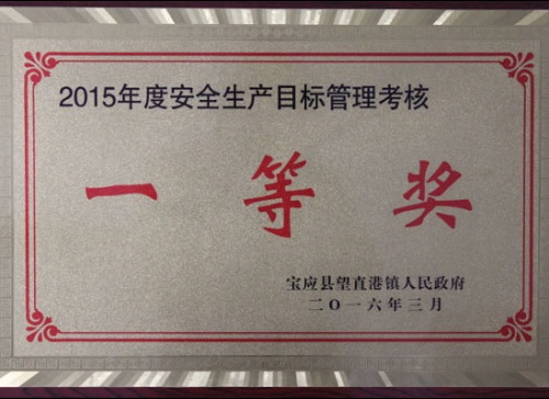 公司近期所获宝应县望直港镇党委、政府授予的荣誉
