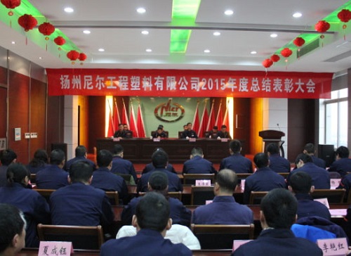 瞄准新目标、开启新征程——公司举行2015年工作总结表彰大会