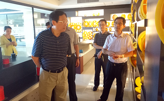 江苏省经信委考察“小巨人”项目 江苏省经信委考察“小巨人”项目