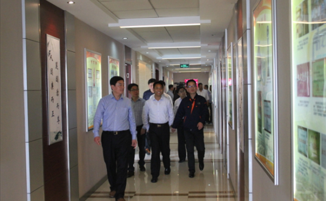 青海省贵南县代表团来公司考察 青海省贵南县代表团来公司考察