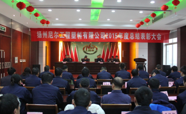 瞄准新目标、开启新征程——公司举行2015年工作总结表彰大会 瞄准新目标、开启新征程——公司举行2015年工作总结表彰大会