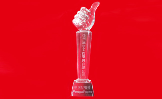 “尼尔“获中国好电梯殊荣 “尼尔“获中国好电梯殊荣