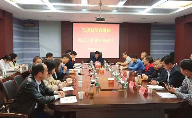 望直港镇重点工业企业座谈会在我公司召开 望直港镇重点工业企业座谈会在我公司召开